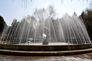 噴泉 動(dòng)靜之間的詩意